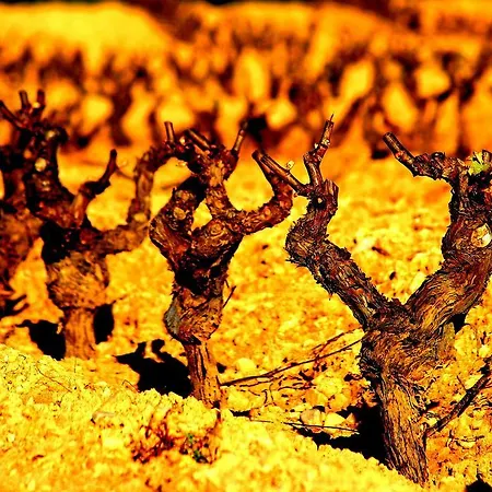 Areta Etxea Salinillas de Buradon