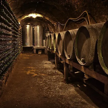 Holiday home Areta Etxea