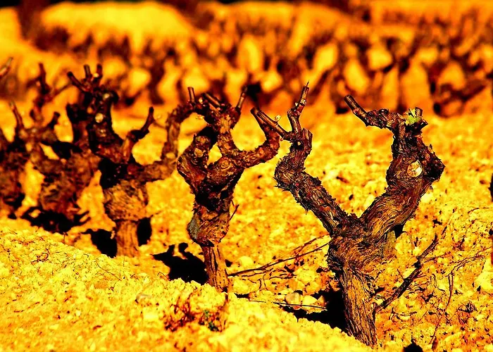 Areta Etxea Salinillas de Buradon